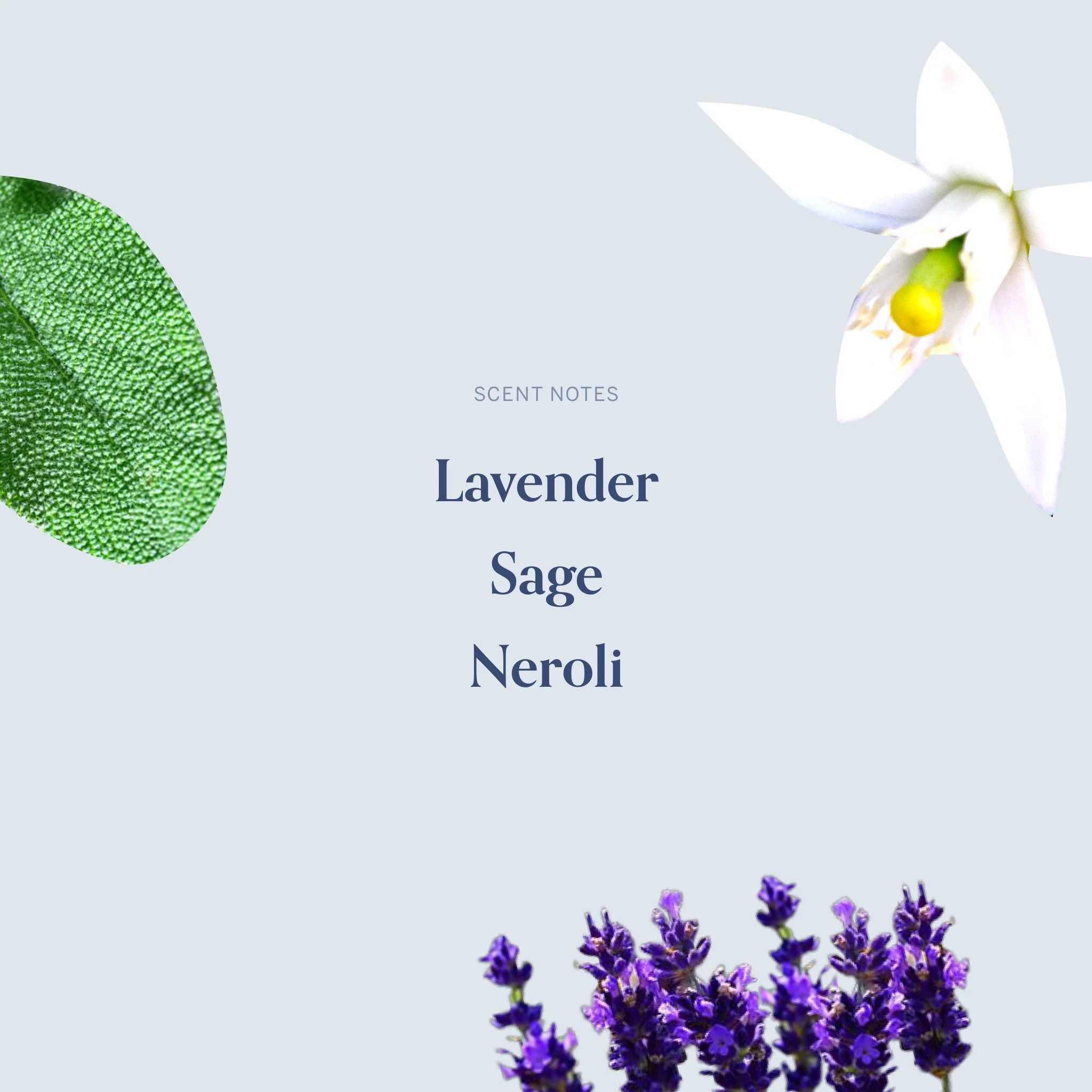 The February Fourteenth Candle - Image 4